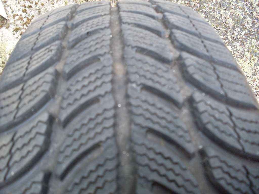 Opona 1 sztuka Dębica Frigo 195/65r15