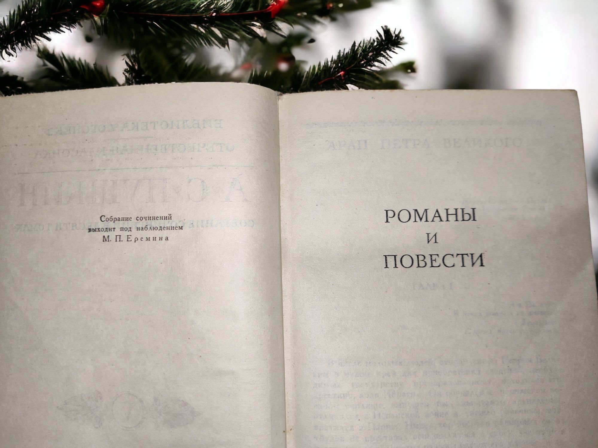 2 книжки Пушкина