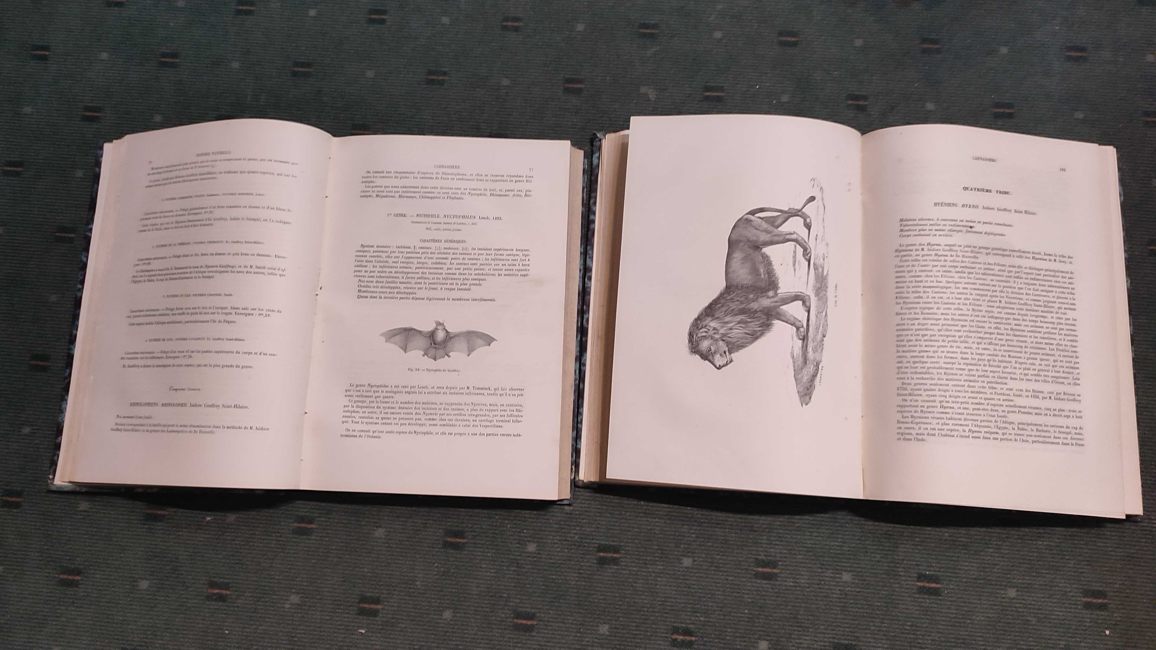 Encyclopédie D'Histoire Naturelle Traité Complet -Carnassiers - 2 Vol