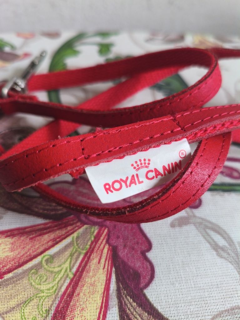 Smycz dla zwierząt Royal Canin. Długość 100 cm.
