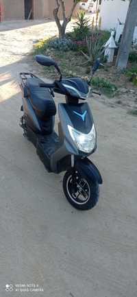 Moto electrica goose