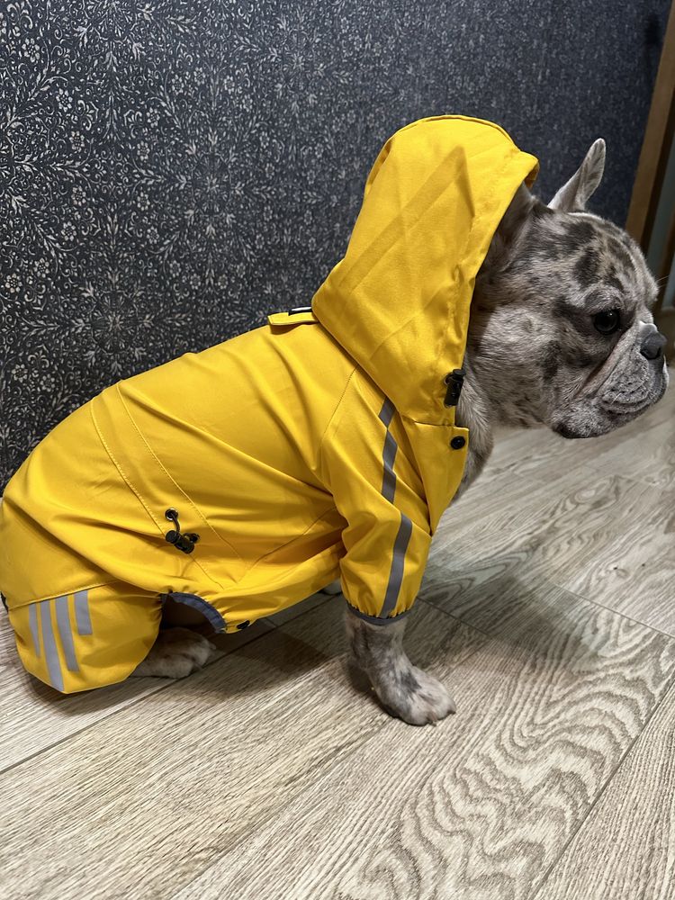 Одяг дощовик для собак француза жовтий