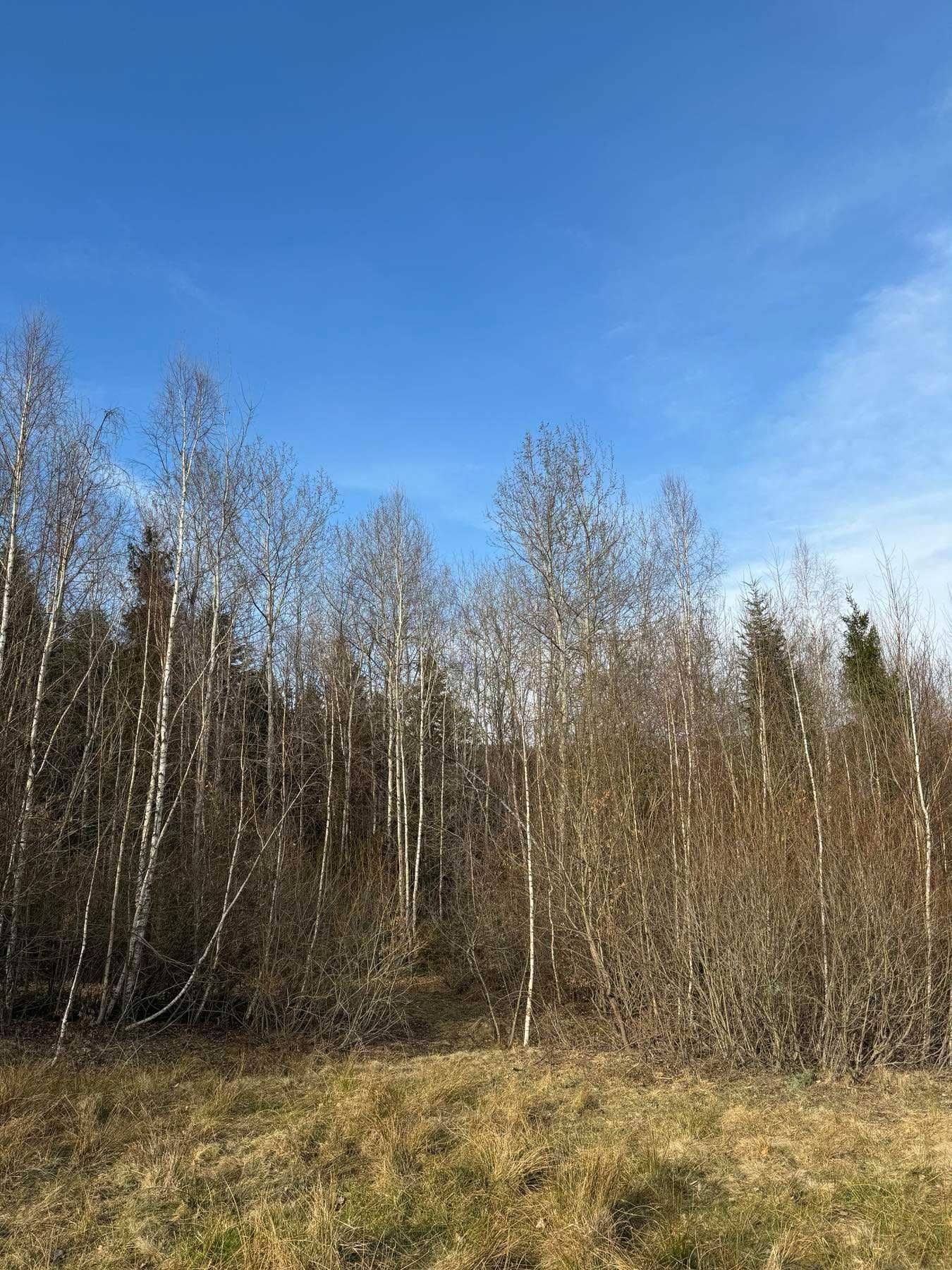Продаж земельної ділянки, Косів, вул.Павлика. БЕЗ КОМІСІЇ (біля лісу)