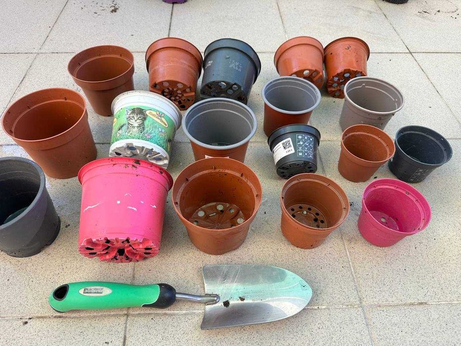 Vasos pequenos, ideais para propagações (a partir de 0.35€)