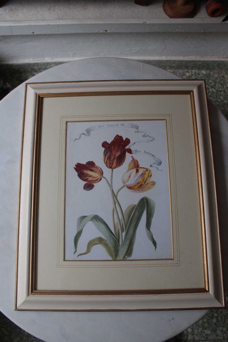 Diversos quadros (PARA DESPACHAR)