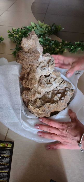 Оборудование террариума EXO TERRA