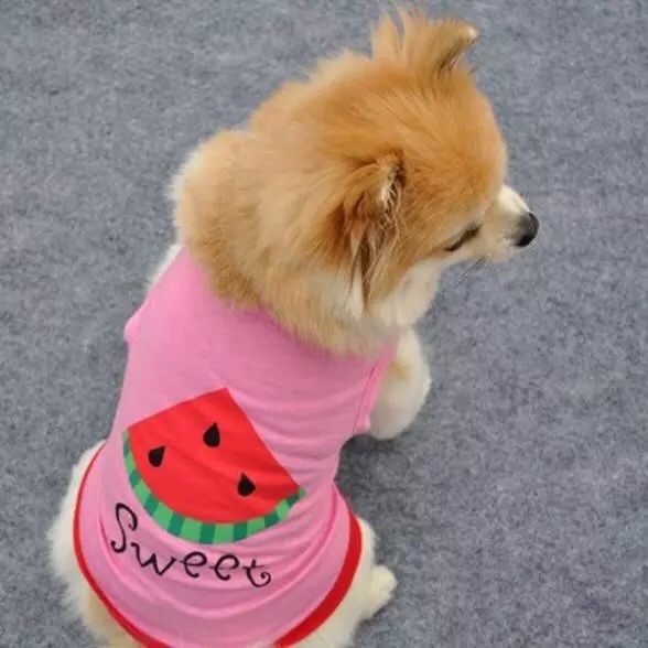Одежда футболка жилетка кофта для собак, НОВАЯ