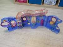 Domek Littlest Pet Shop