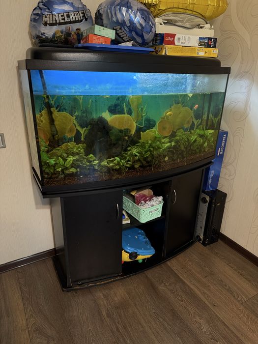 Продам акваріум, рибки, компресор