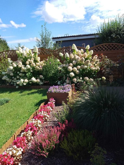 Działka rekreacyjna