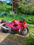 Suzuki GSX600F Katana