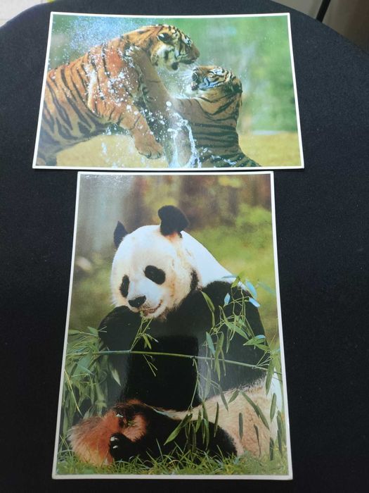 Postais Photo vintage da Impact 18 x 13 cm print in japan raros