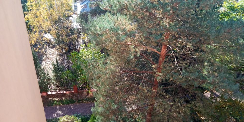 Mieszkanie dwupokojowe 52 m2 do wynajęcia od zaraz.