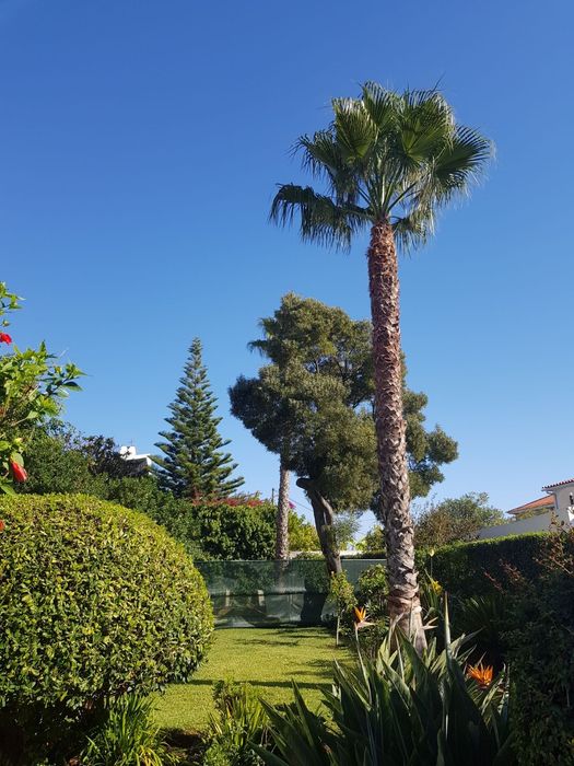 Jardineiro serviços de jardinagem