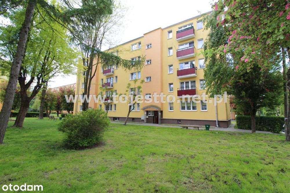 Pokój z aneksem + dwa pokoje na Polnej