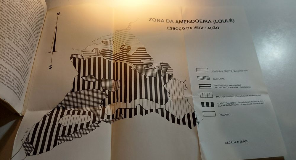 O Barrocal Algarvio, Flora e Vegetação da Amendoeira - J. Malato Beliz