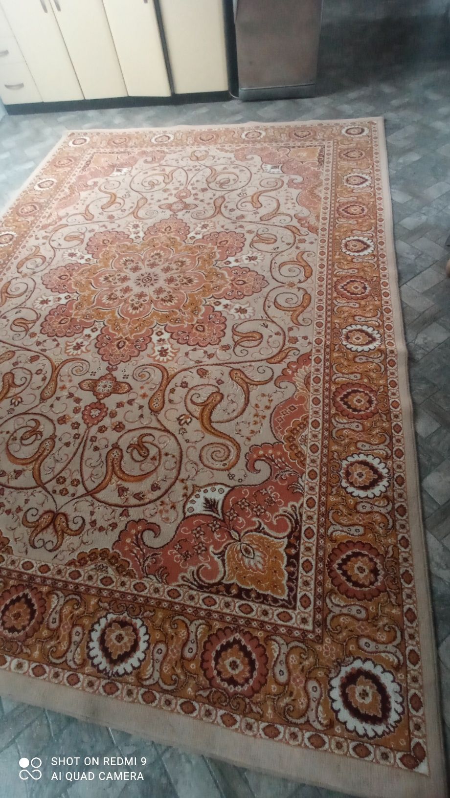 Dywan brązowo beżowy 3,42/250
