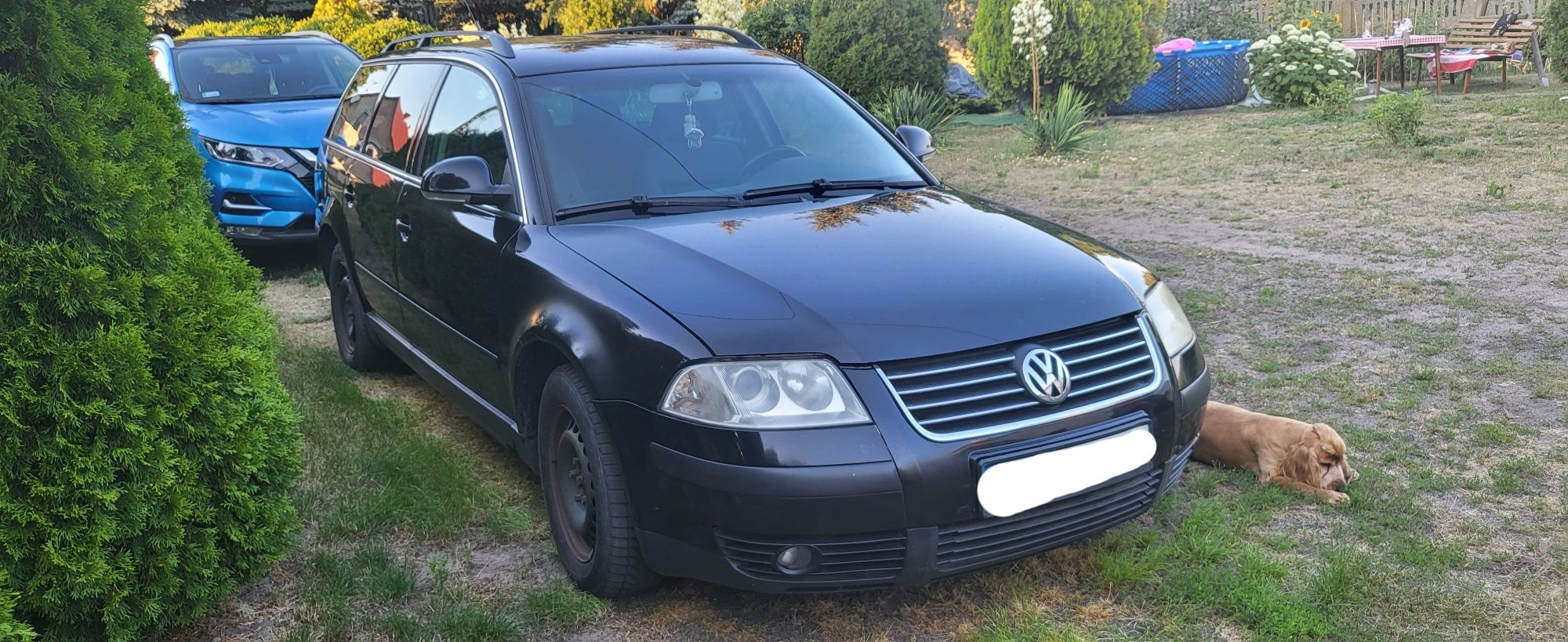 Passat 1.9 tdi 130km