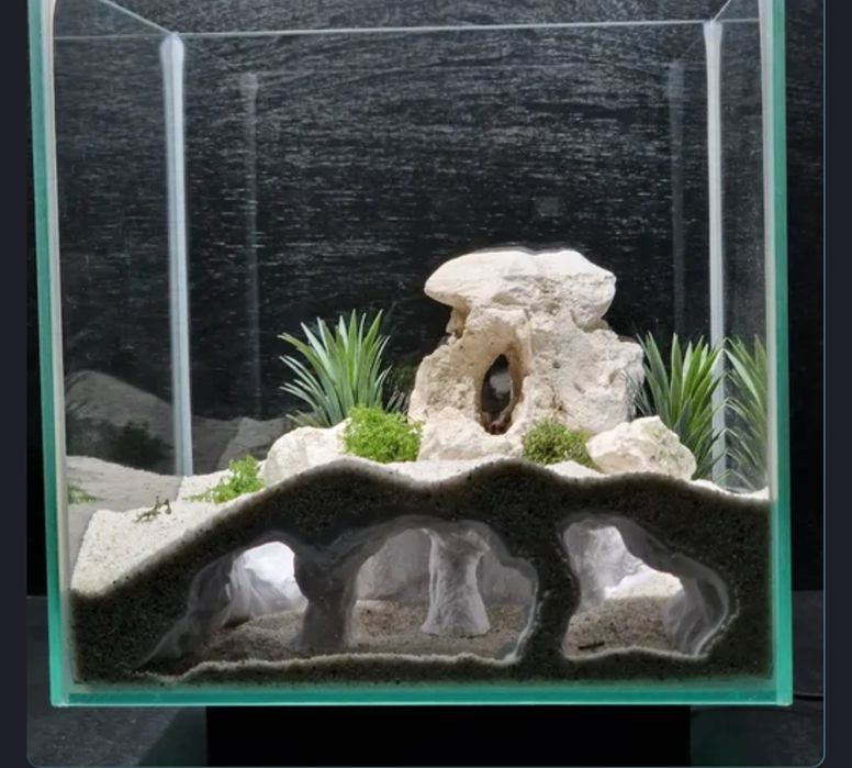 Jaskinka 3D akwarium terrarium schronienie ryby krewetki pająki raki