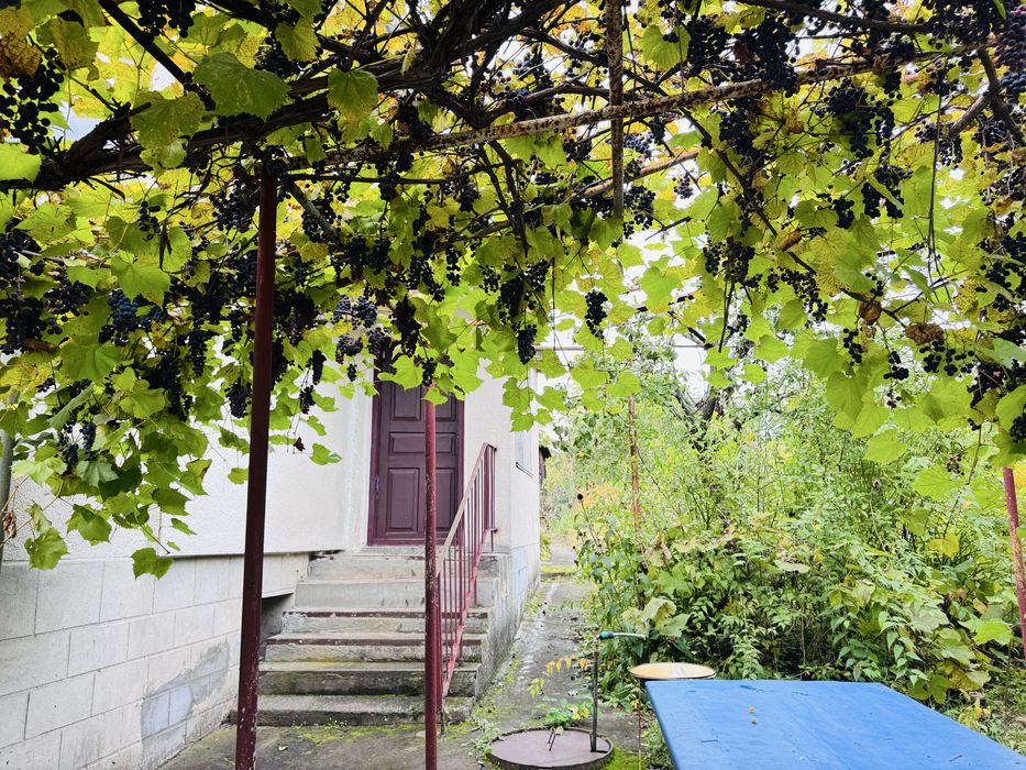 Продаж дачного будинку с.Івачів Горішній