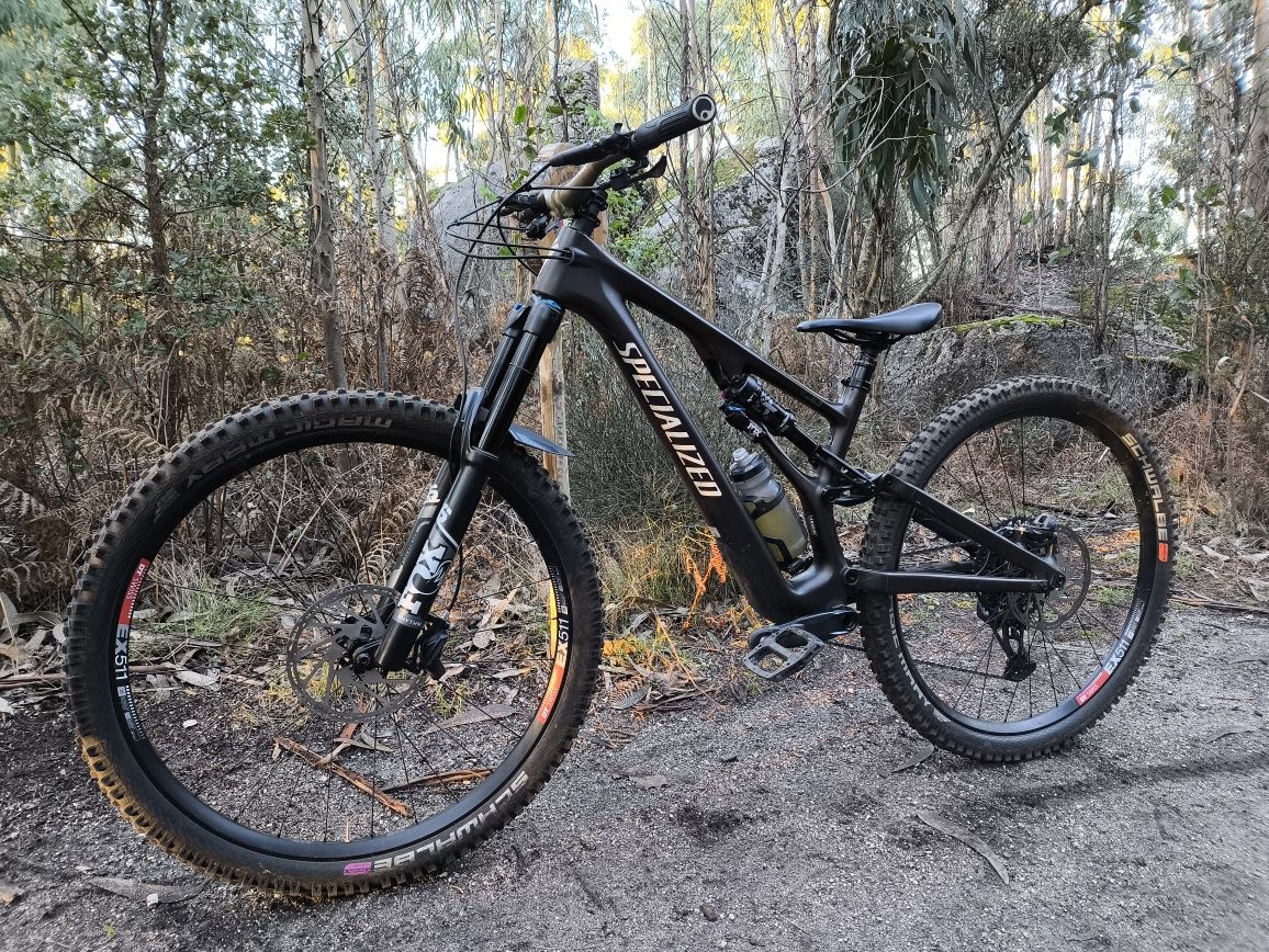 Specialized stumpjumper evo carbon