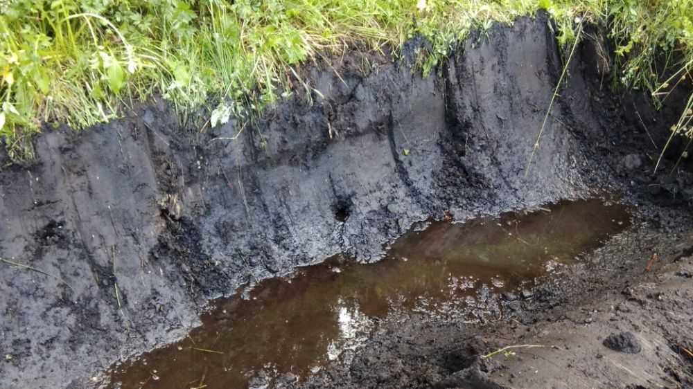 Usługi koparką 2,5t, 5,5t, 22t