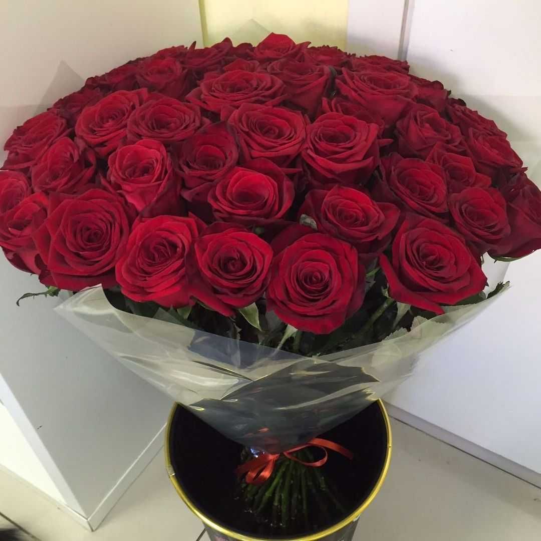Свежая роза, букет 151 красная роза, цветы