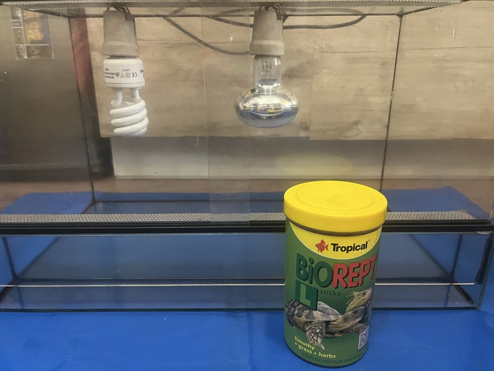 Terrarium dla żółwia lądowego
