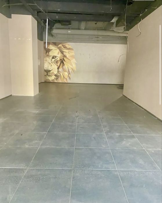 Фасад 250 м2, вул Велика Васильківька, пл.Українських Героєв, Гулівер