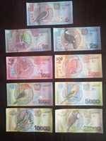 Surinam banknoty.