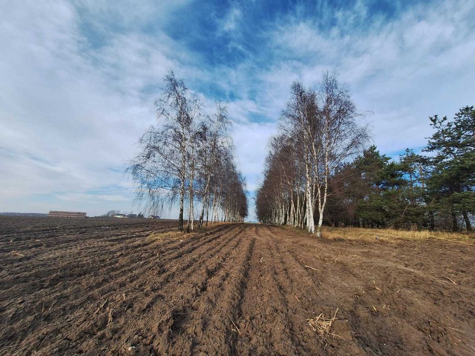 Działka rolna idealna na siedlisko
