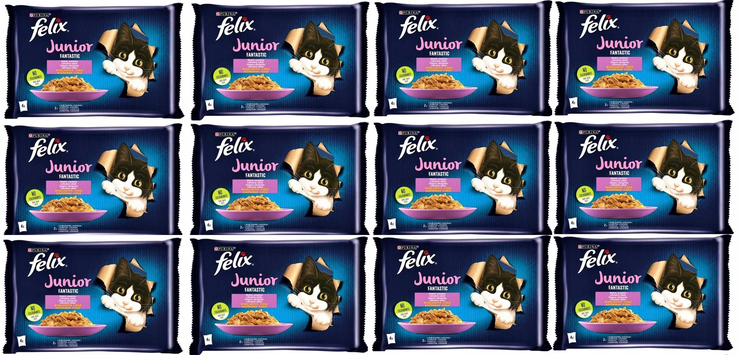 Mokra Karma PURINA FELIX FANTASTIC JUNIOR Kurczak 48 saszetek po 85g