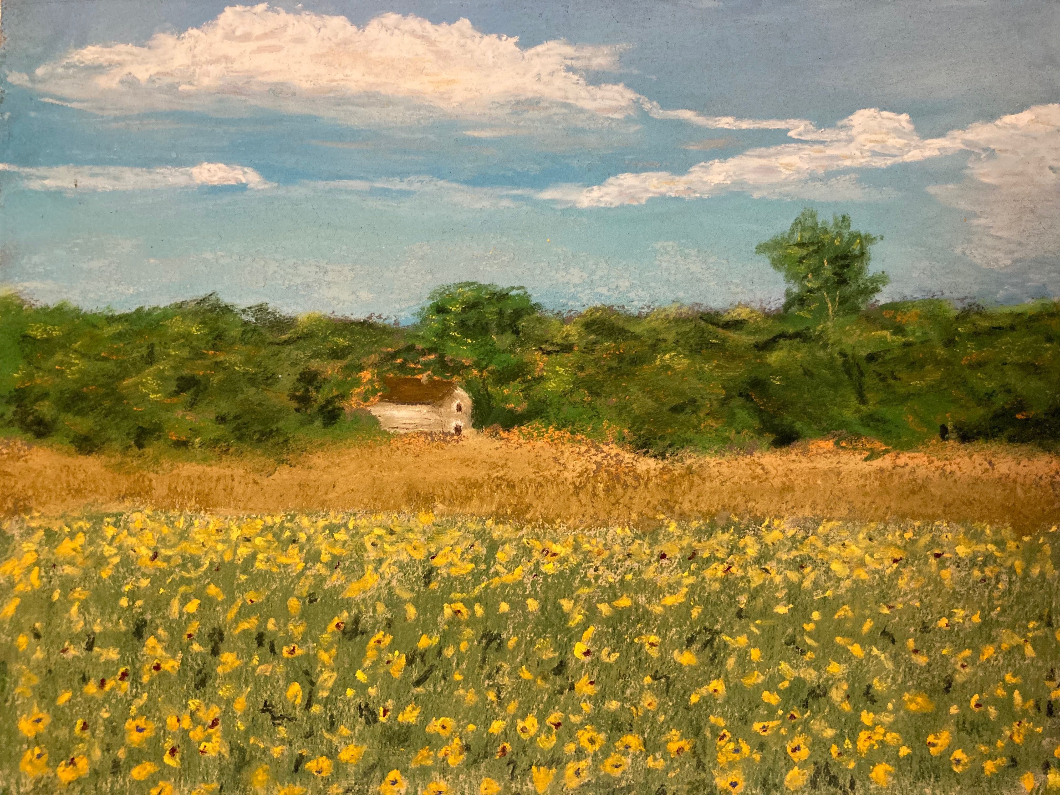 Pinturas originais