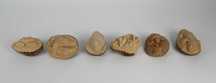 6 esculturas em noz de Tagua