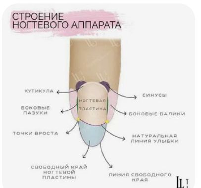 Манікюр педікюр навчання одеська Харків пр гагаріна