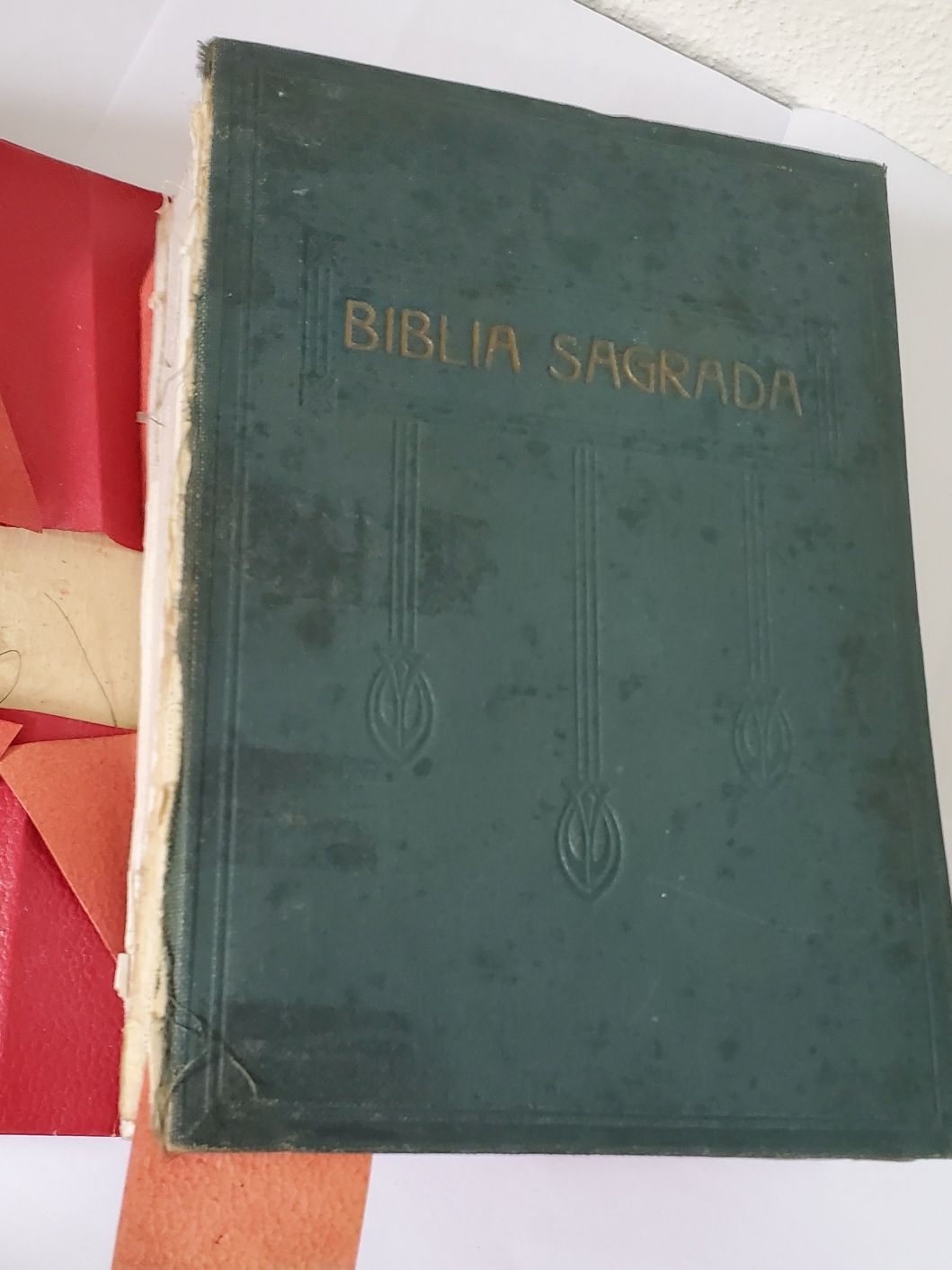 Bíblia Especial Antiga
