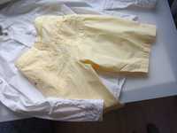 Блідо-жовтий / колір вершкового масла:шорти 100%бавовна. L