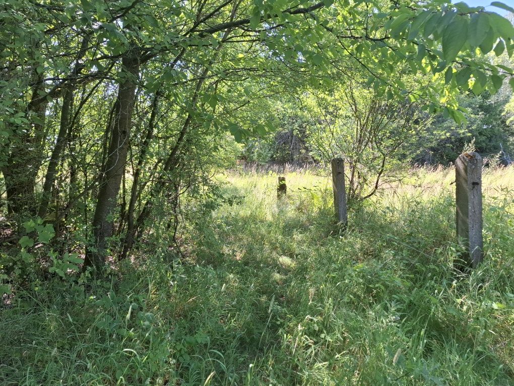 Udział w gruncie 1/2 działka Karnice Puszcza Mariańska 4800 m2
