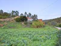 Terreno com 10 hectares e Moradia a Reabilitar em Marmelete