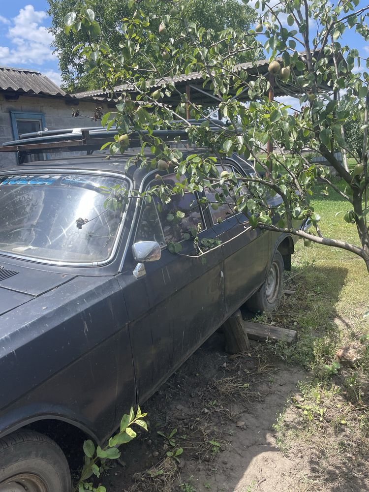 Газ 24 1978 року все рідне