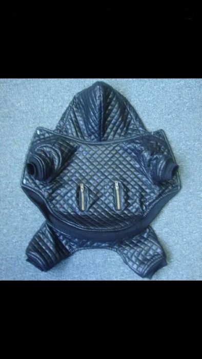 skórzane ubranko dla psa dwuczęściowe chihuahua, york nowe