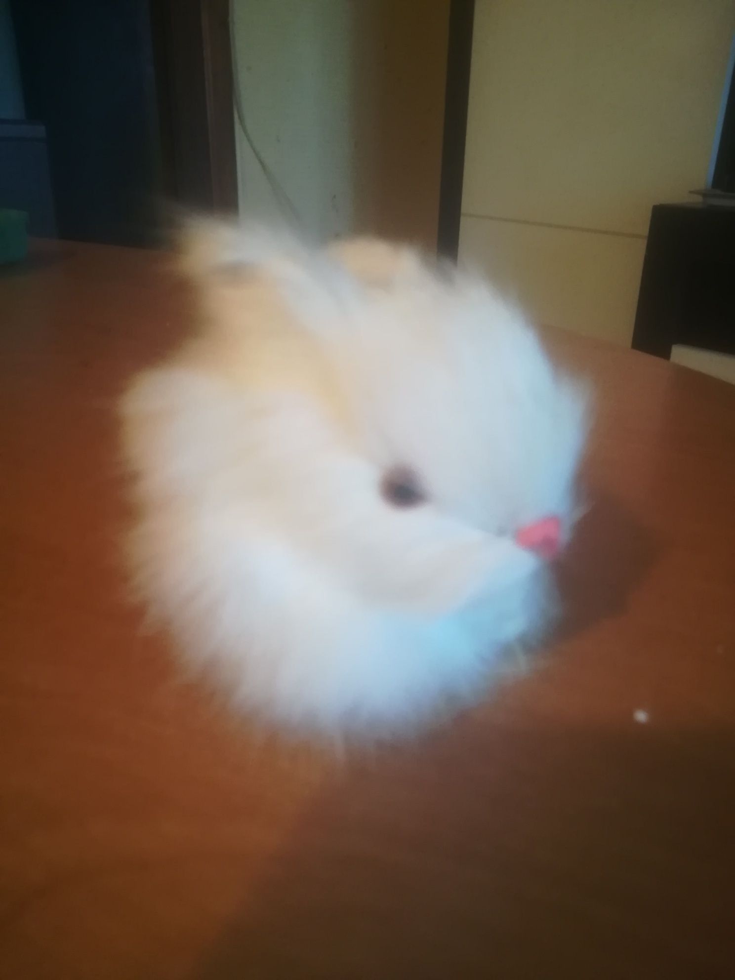 Кролик из натурального меха.