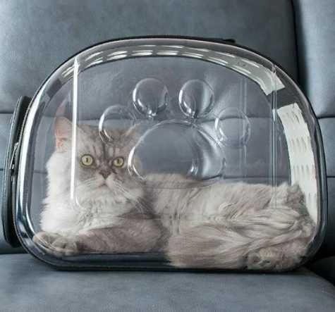 переноска сумка для котов