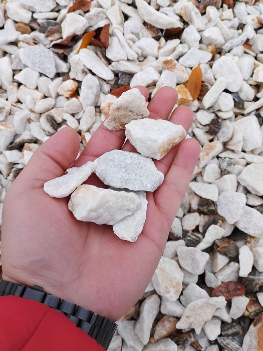 Cristal White/ Elegancja/ Jakość/ Darex