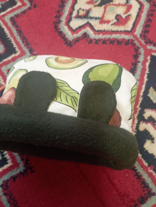 Пацюки. Морські свинки