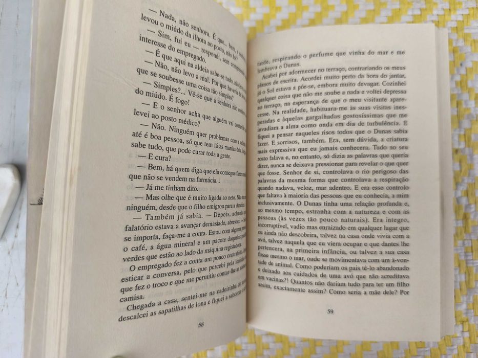 O GUARDA DA PRAIA – 
Maria Teresa Maia Gonzalez