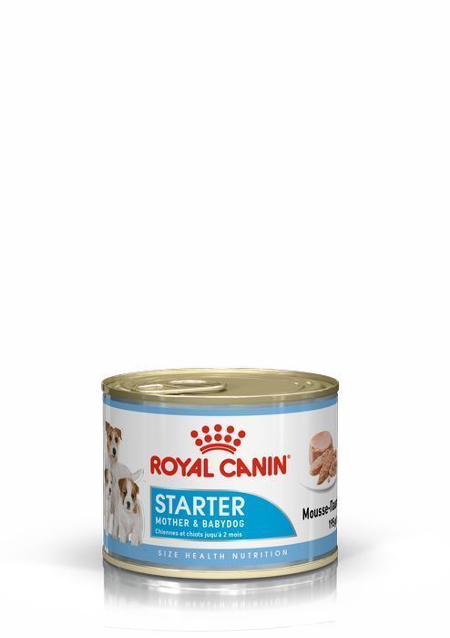 Royal Canin Starter Mousse Cans 0.195г