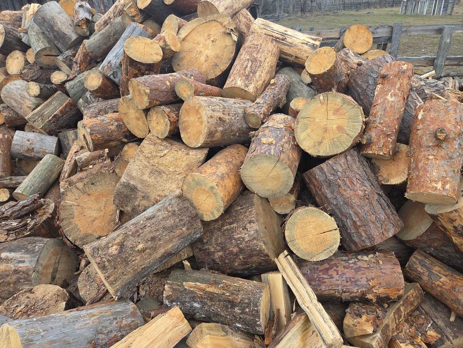 Продам дрова дуб, сосна