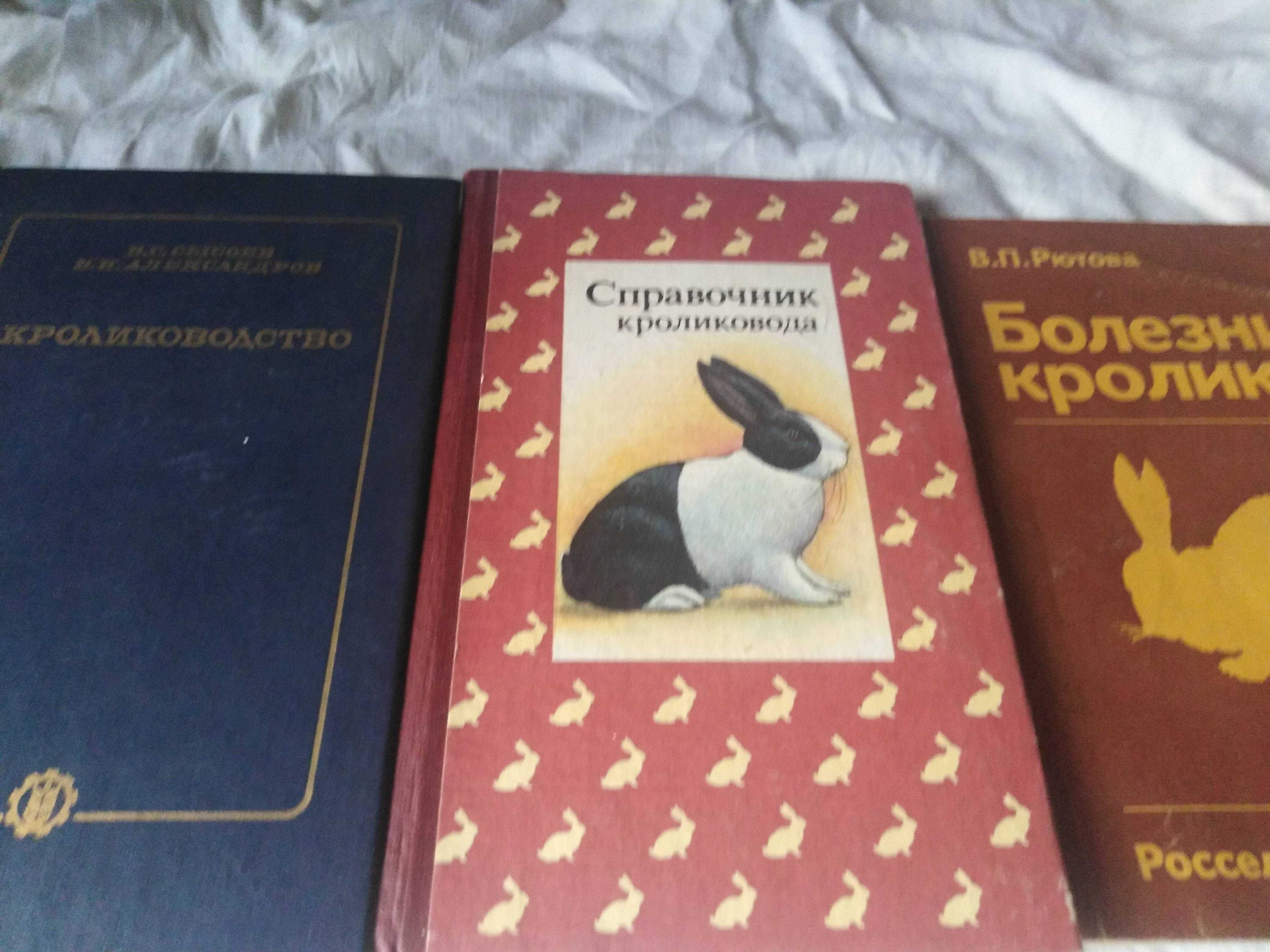 Книги про кроликів