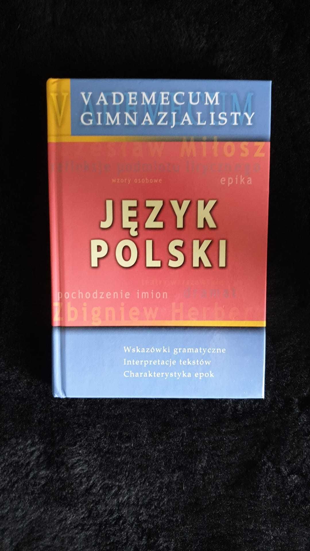 Vademecum gimnazjalisty język polski Alina Dutkiewicz